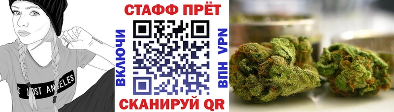 Где продают наркотики Петрозаводск Cocaine  Меф  А ПВП  Псилоцибиновые грибы  ГАШИШ  Каннабис 