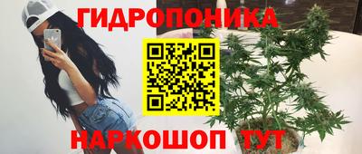 эйфоретик Гусь-Хрустальный