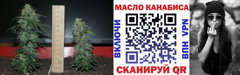 Дистиллят ТГК THC oil  Петрозаводск 