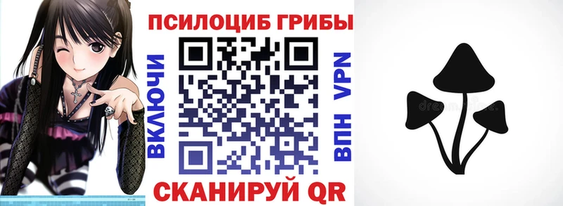 Галлюциногенные грибы Cubensis  где купить наркоту  Петрозаводск 